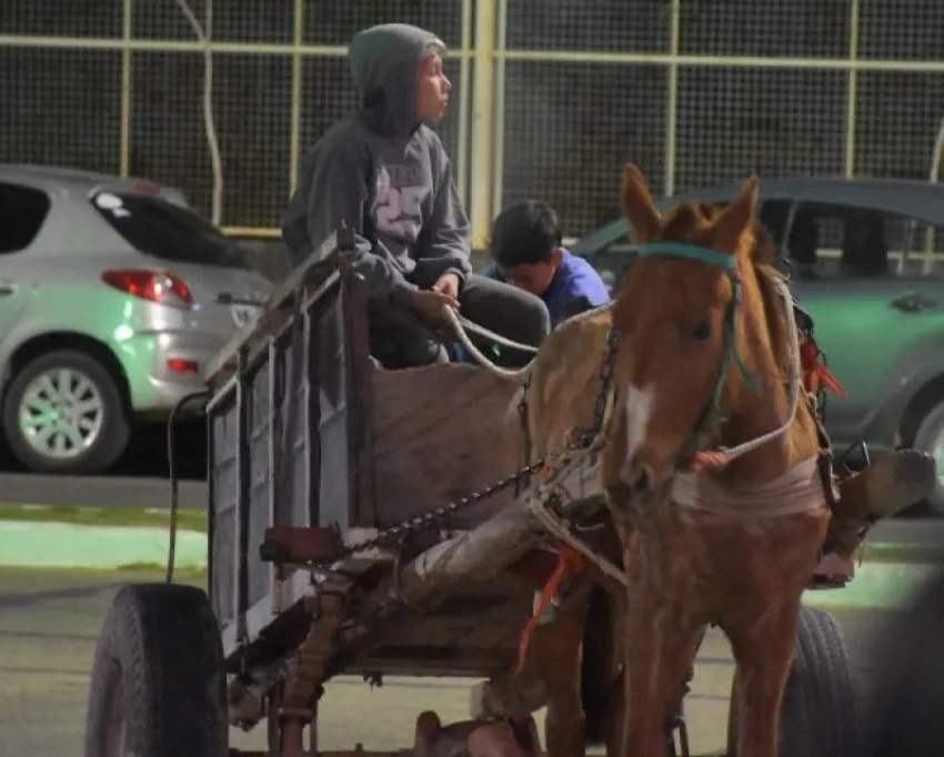 Comienza el plan para erradicar la tracción a sangre