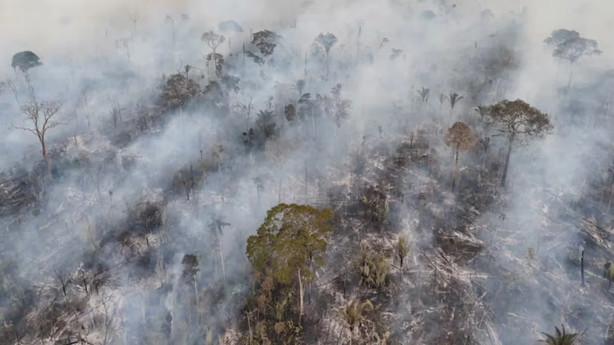Alerta violeta por humo en varias provincias