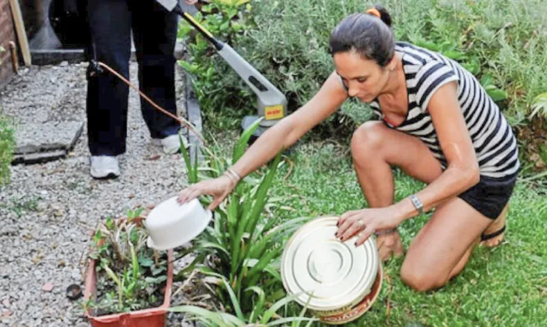 Siguen las acciones preventivas por dengue ante riesgo de circulación viral