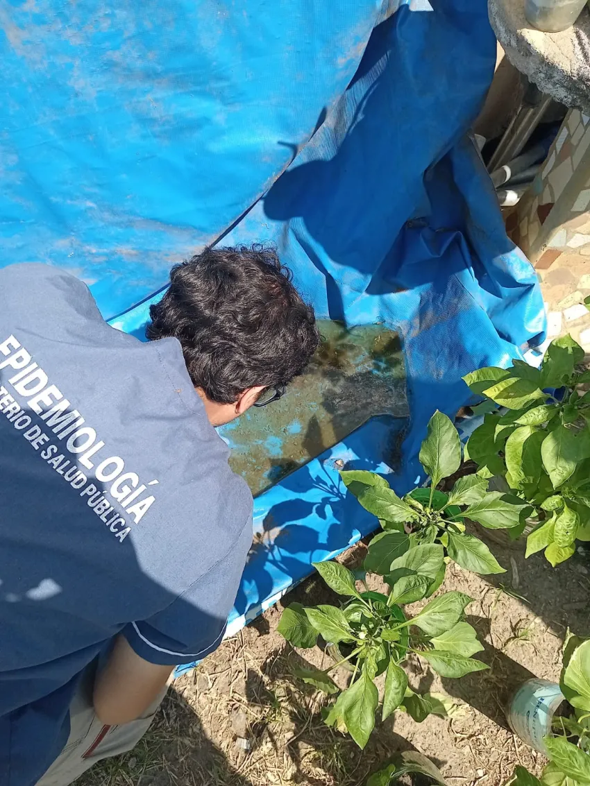 Hallan larvas la mayoría positivo para Aedes aegypti en toda la ciudad