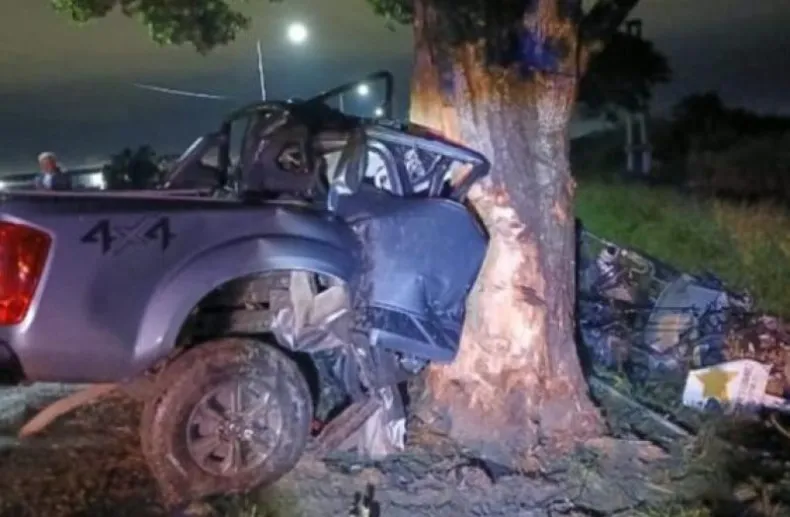 Trágico despiste y choque de camioneta contra un árbol en Ruta 12