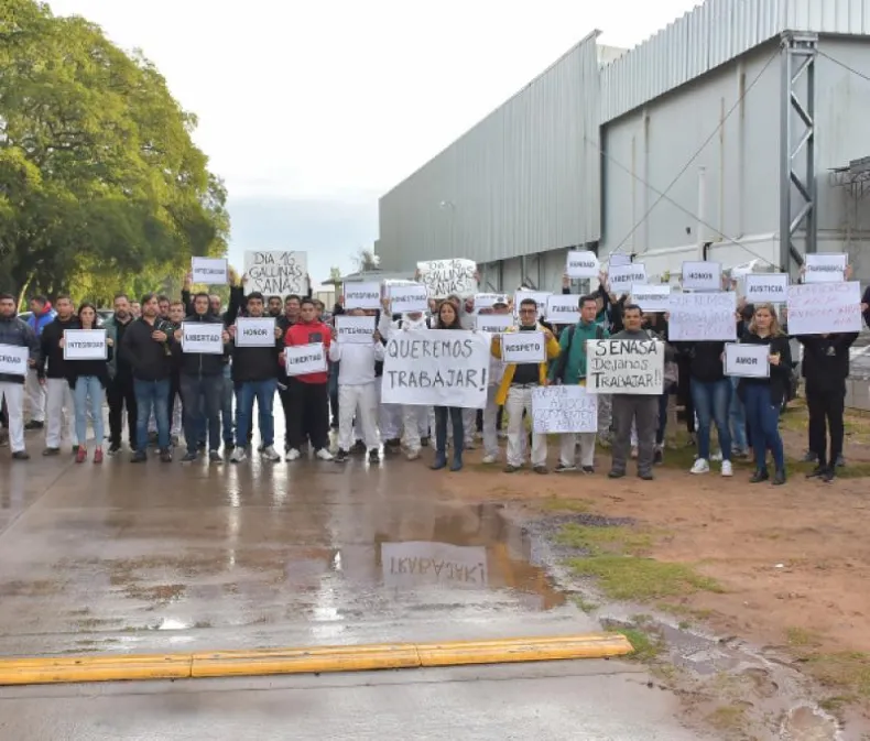Avícola Santa Ana demandará al SENASA por perjuicios económicos