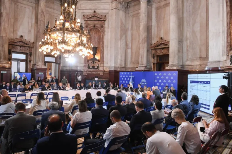 Victoria Villarruel convocó a los legisladores de la Cámara Alta a una sesión el viernes